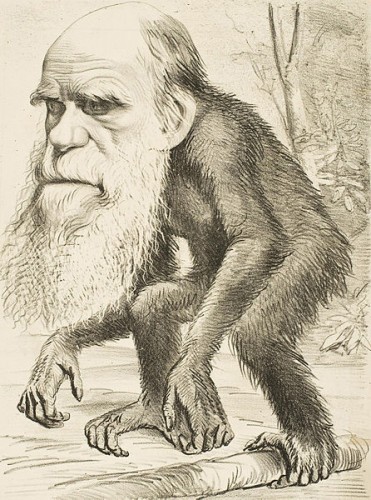 Darwin caricaturizado en 1870 por John Tenniel