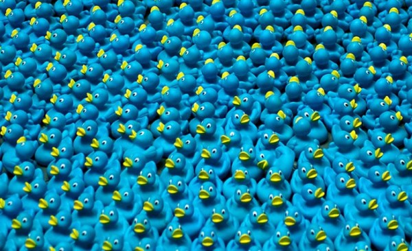 Imagen tomada del sitio www.ida.cl