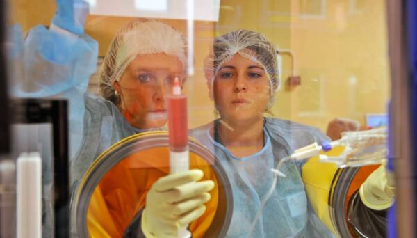 ciencia