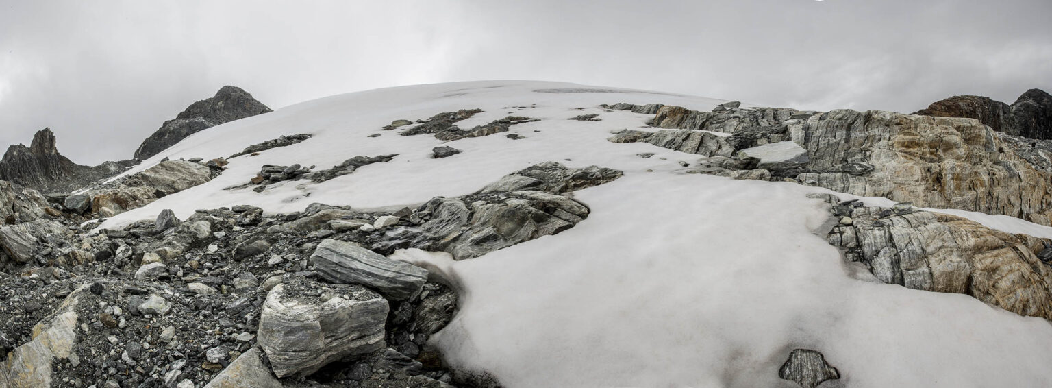 nieves
