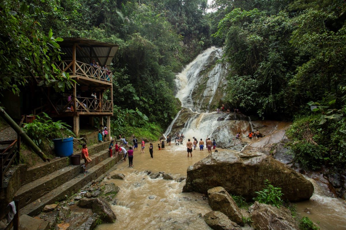 Chocó Andino