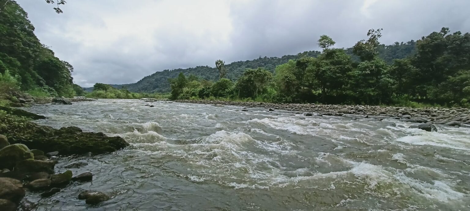 Chocó Andino