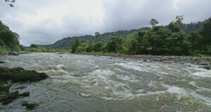 Chocó Andino