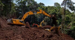 Nuevos caminos deforestan territorio waorani