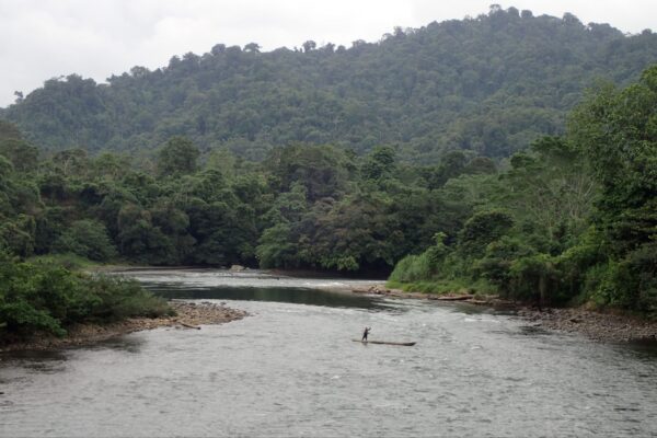 Los desafíos ambientales