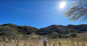 Día Mundial del Medio Ambiente