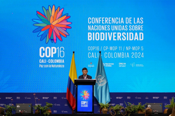 COP 16