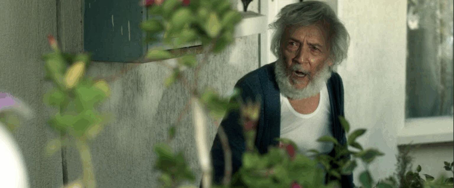 Viejos malditos, Jaime Bonelli